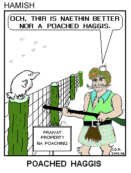 POACHED HAGGIS