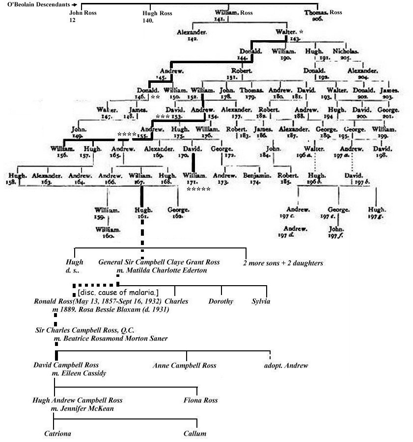 SHANDWICK CHART