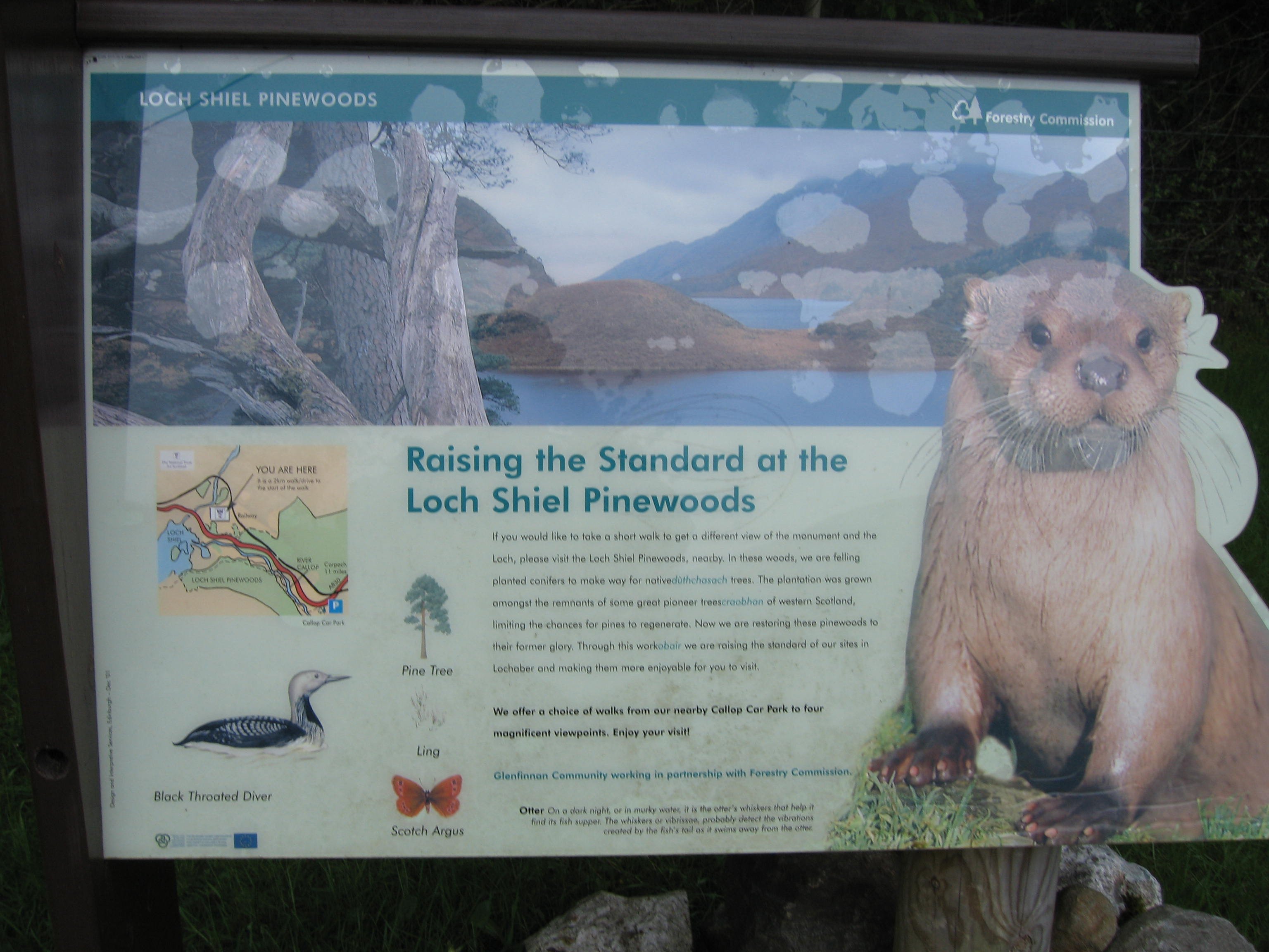 INFORMATION