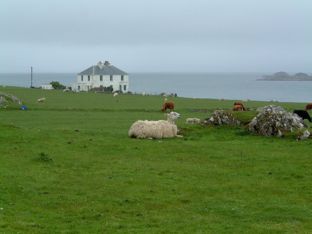 PASTURE NEAR ABBEY