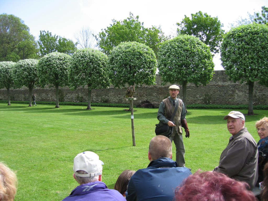 FALCONER