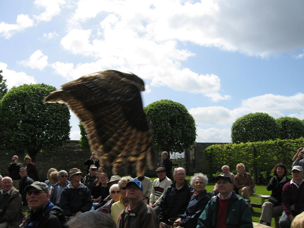 EAGLE OVER AUDIENCE