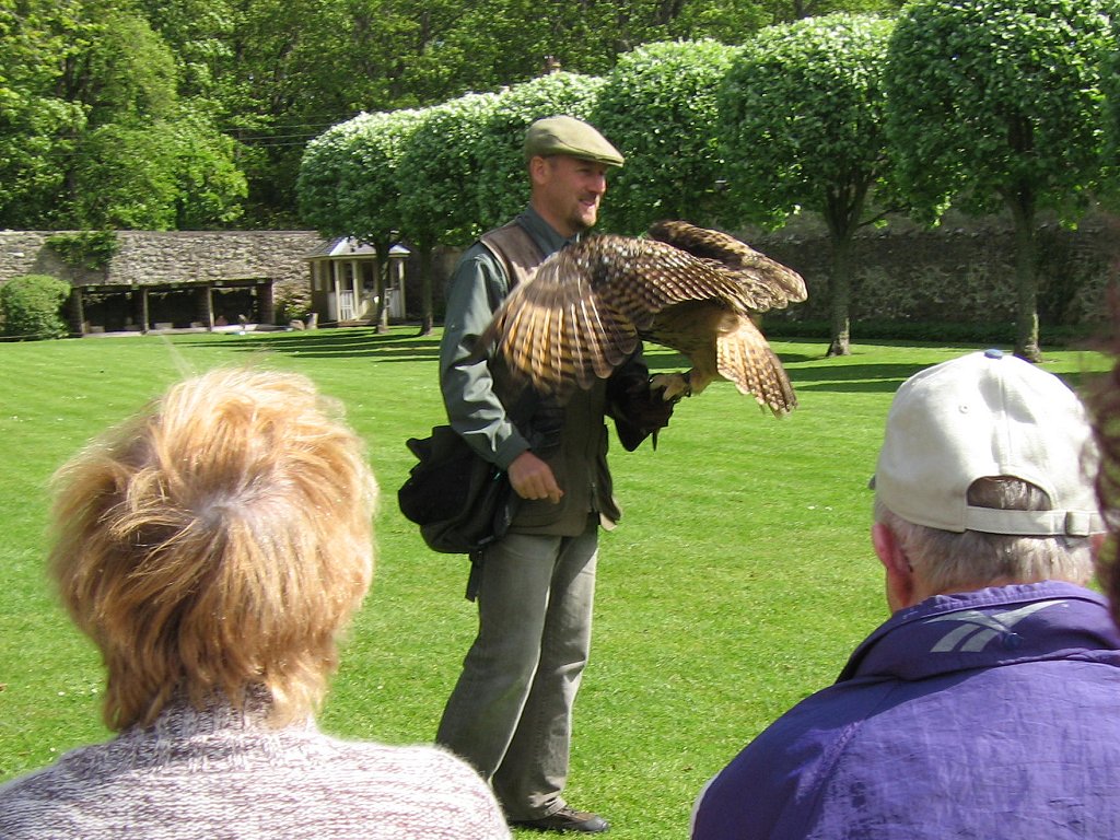 GOLDEN EAGLE