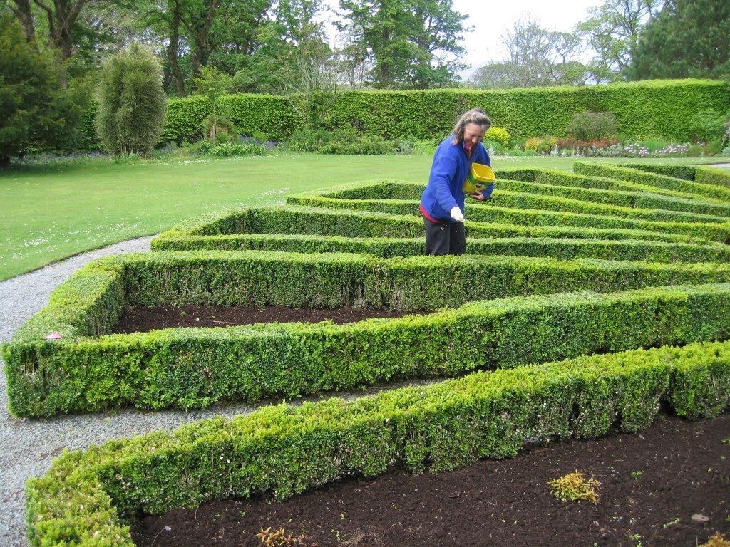 GARDENER TENDING HEDGE
