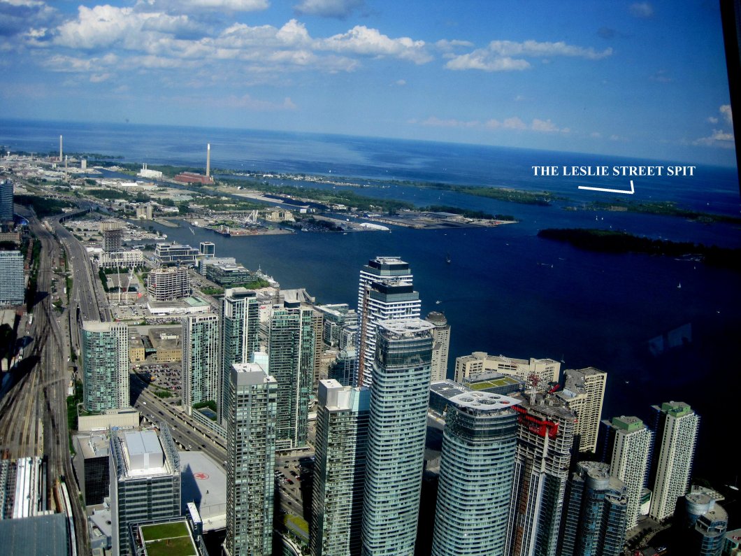 LESLIE STREET SPIT