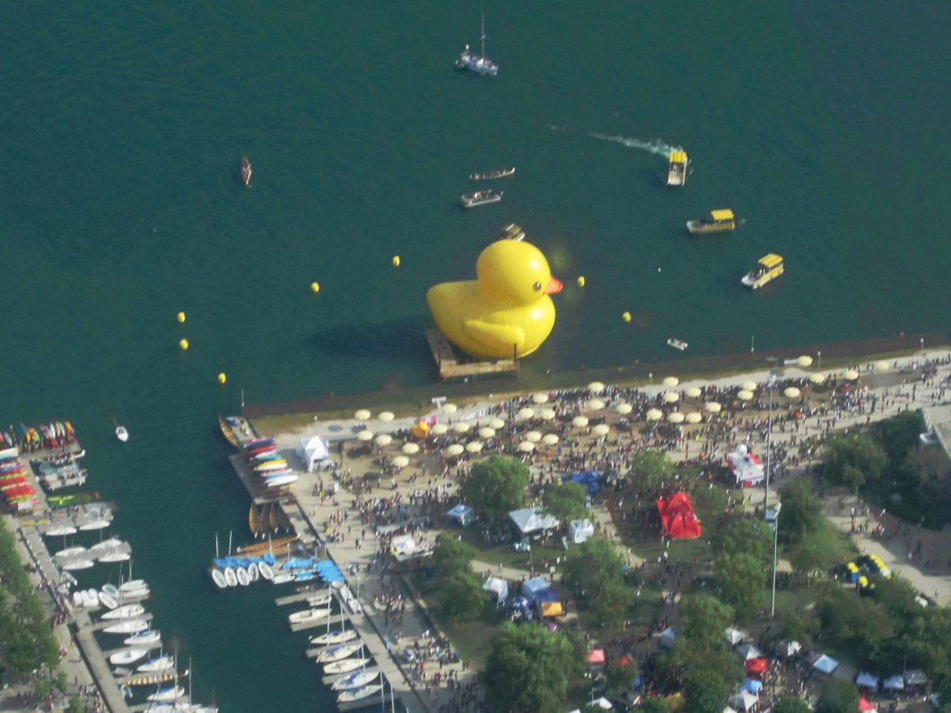 RUBBER DUCK