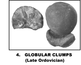 GLOBULAR CLUMPS
