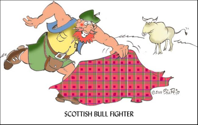 SCOTTISH BULL FIGHTER