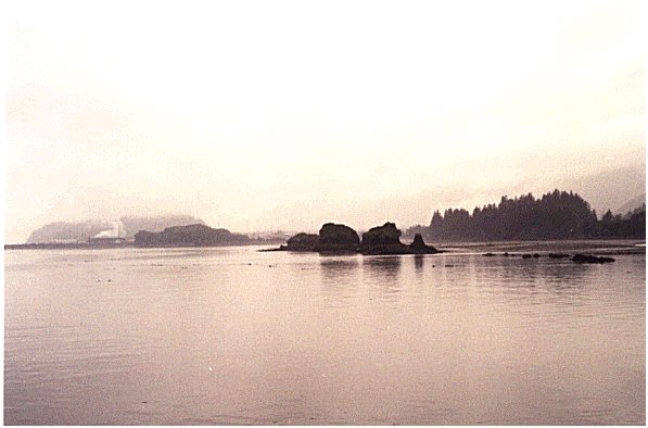 Tidal flats, Valdez Harbour