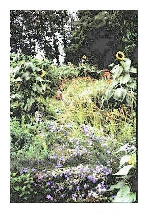 STATE HERBAL MEDICINE FARM