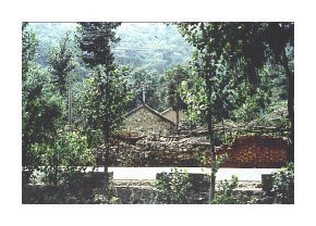 MUTIANYU VILLAGE 1