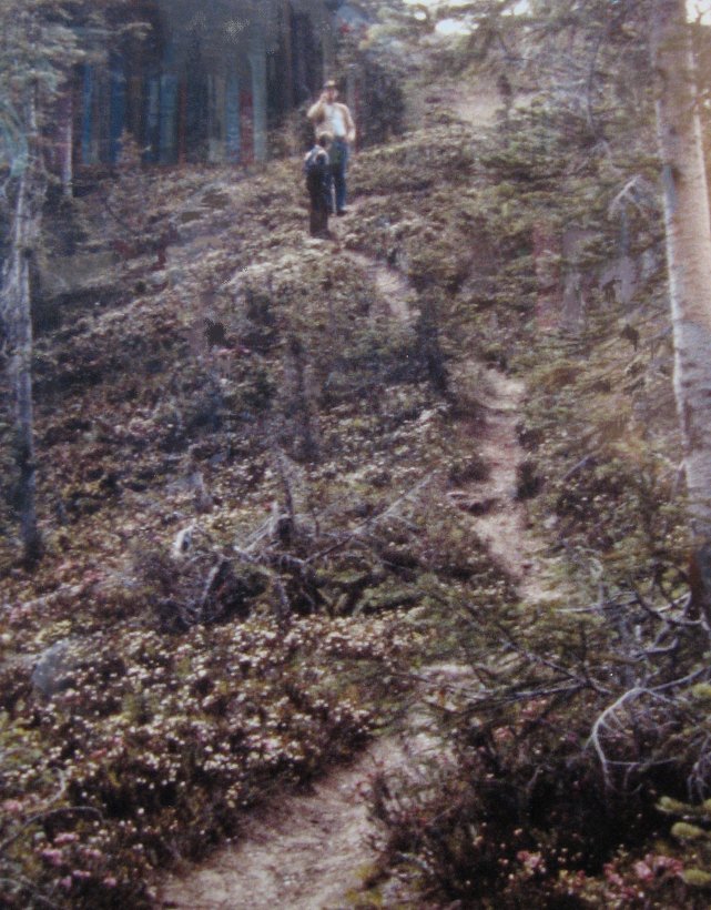 BURGESS PASS