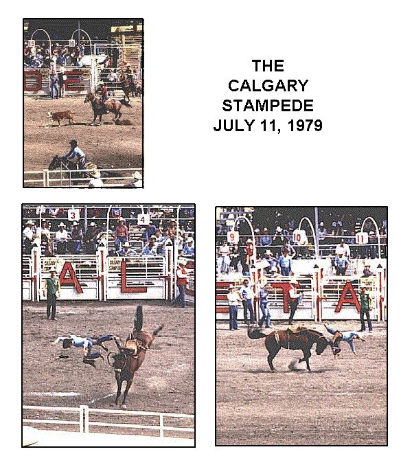 STAMPEDE