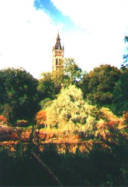 TOWER