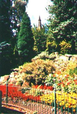 TOWER