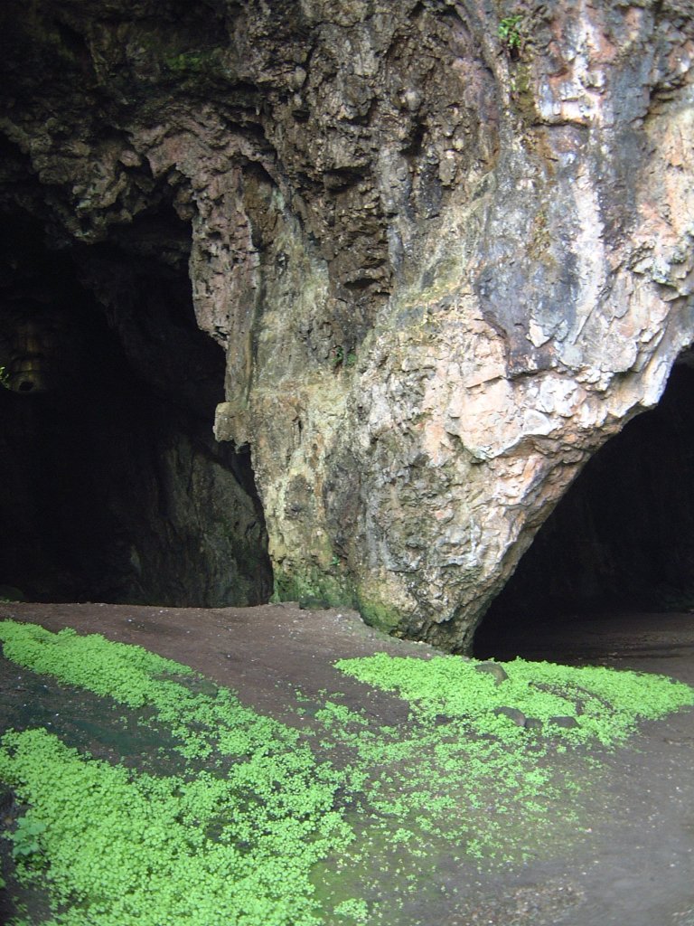 CAVE ENTRANCE