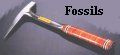 FOSSILS